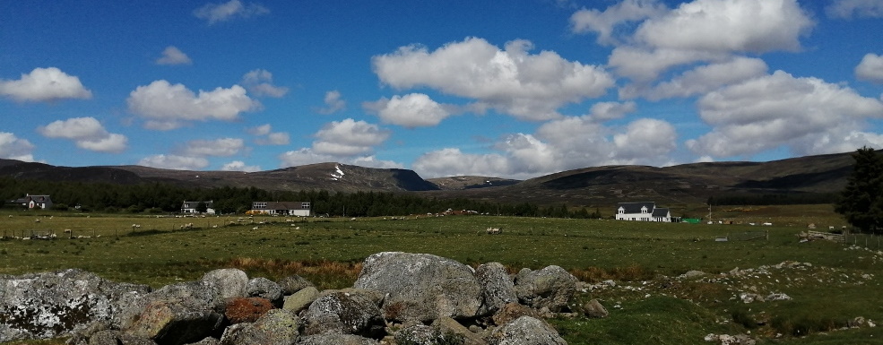picture of local landscape