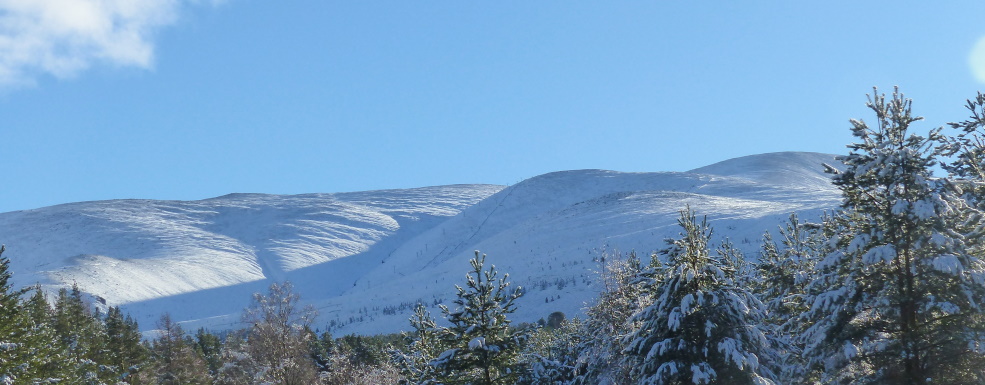 picture of a near winter wonderland