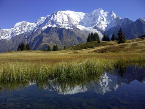 Mont Blanc