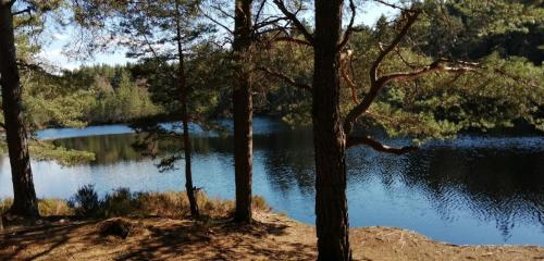 Local loch 
