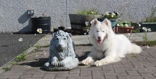 Well behaved pets welcome!